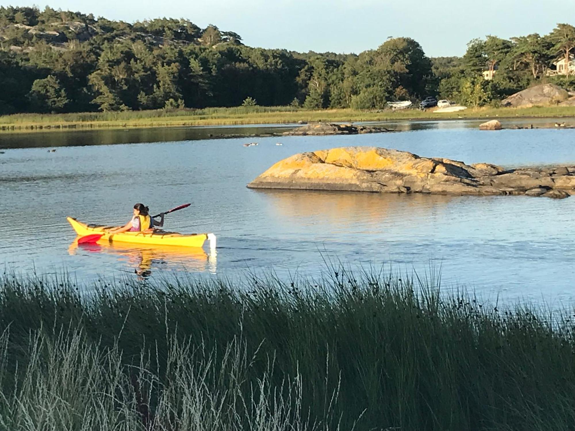 Backstugan - Litet Hus Med Storslaget Laege * Gothenburg